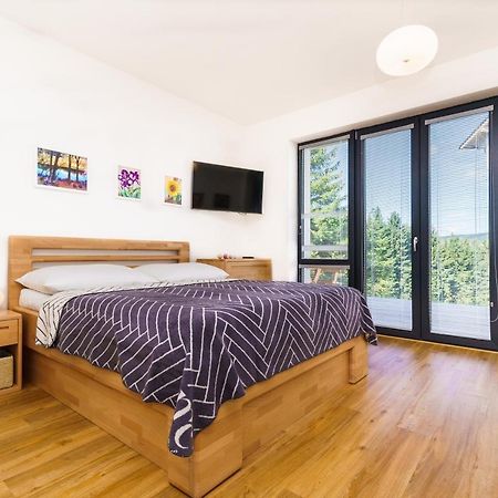 Horsky Apartman Temari 6 Klinovec Loučná pod Klínovcem エクステリア 写真