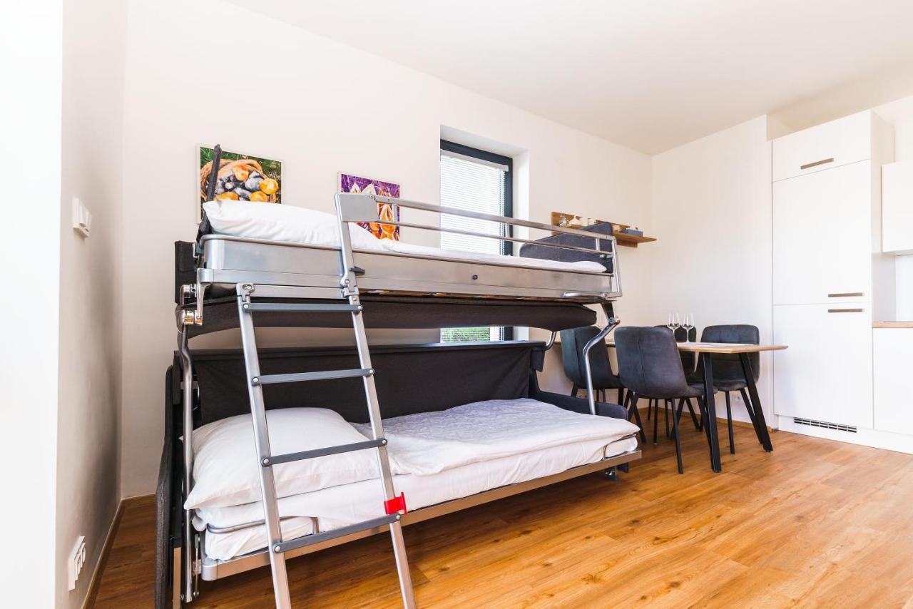 Horsky Apartman Temari 6 Klinovec Loučná pod Klínovcem エクステリア 写真
