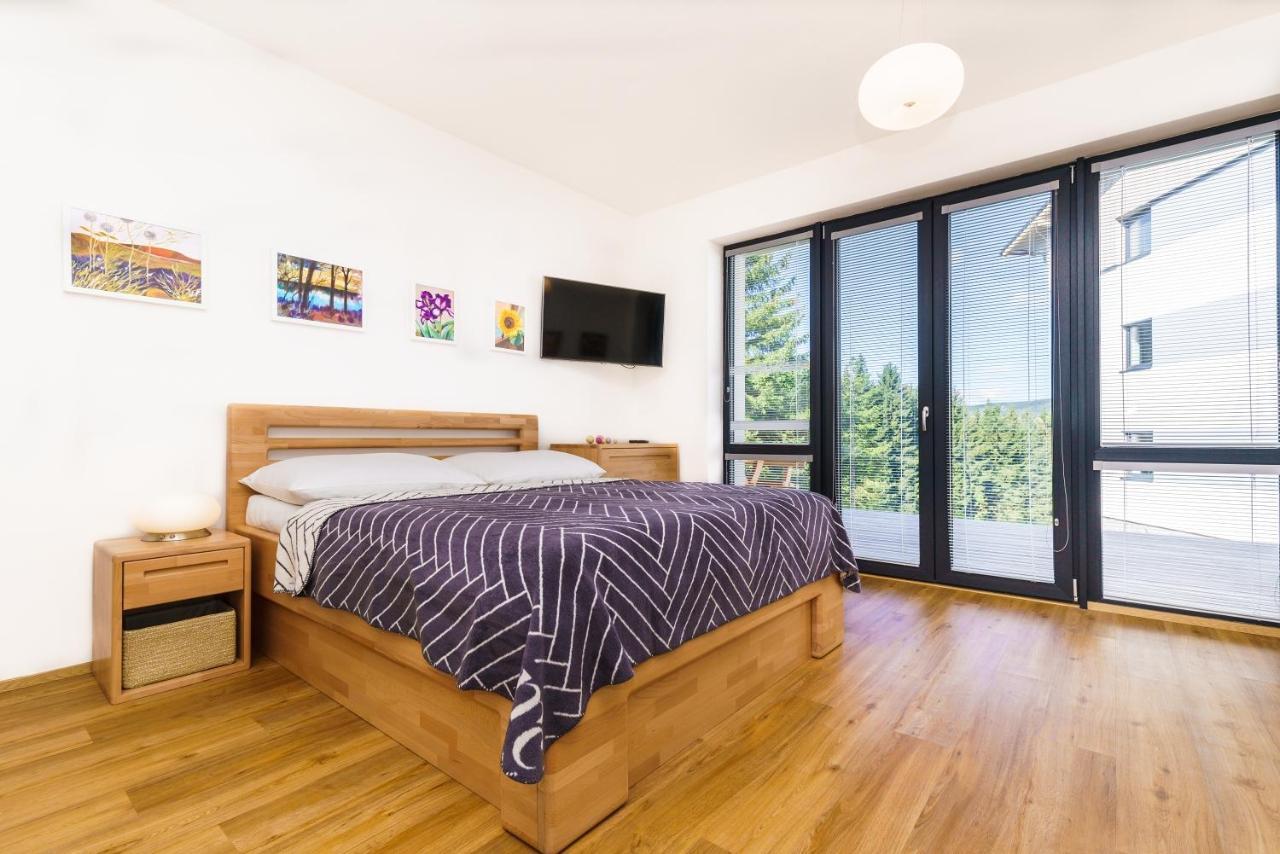 Horsky Apartman Temari 6 Klinovec Loučná pod Klínovcem エクステリア 写真